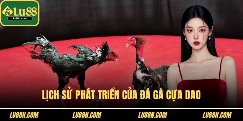 Lịch sử phát triển của đá gà cựa dao